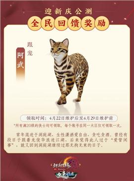 天龙八部私服 斗笠 db
